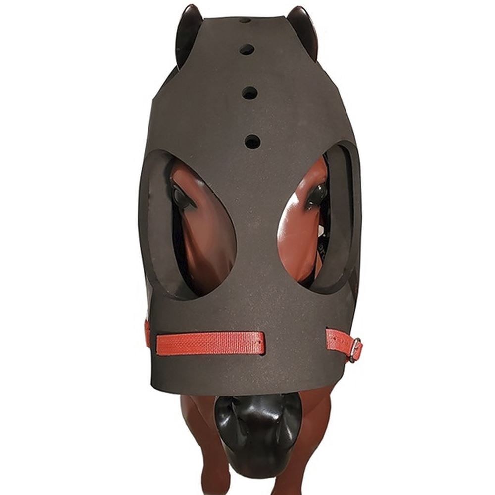 Equivizor™ Transport & Ophthalmology Vizor