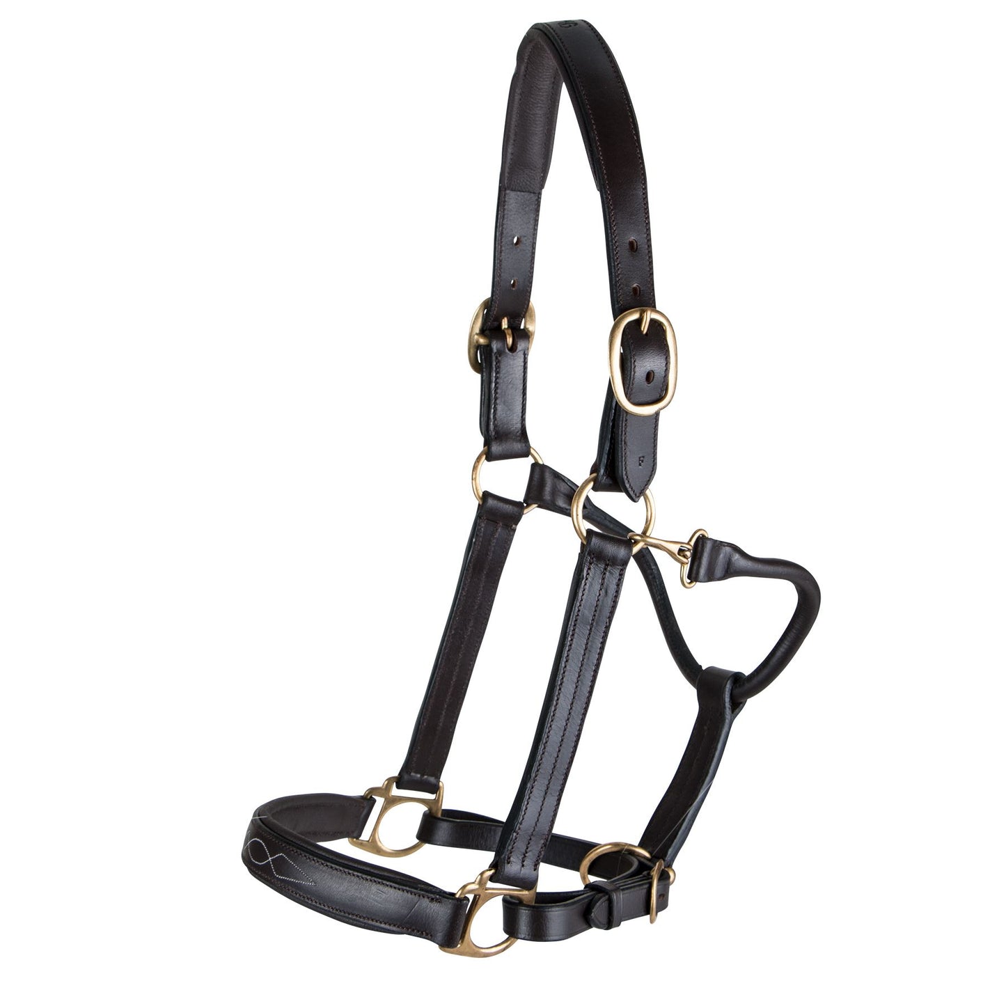 Premier Dorchester Padded Leather Halter