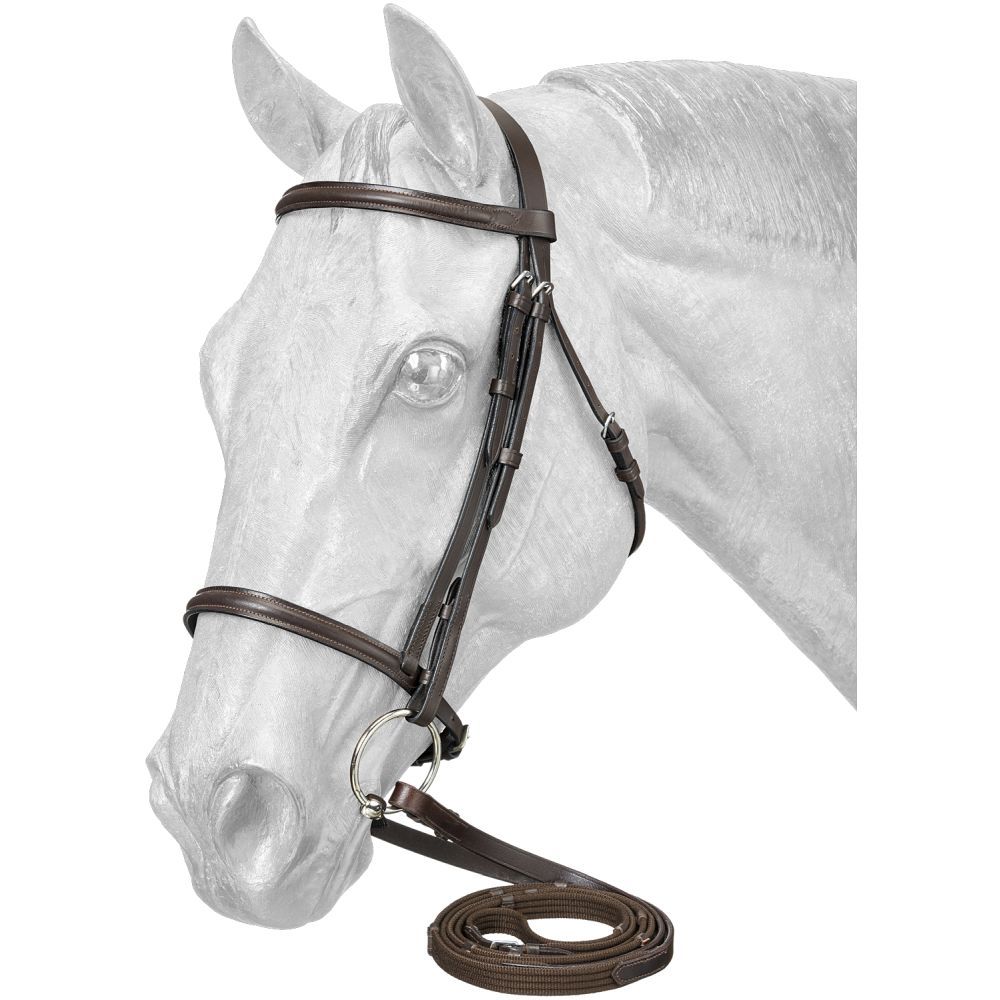 Silver Fox® Raised Snaffle Bridle with Web Reins