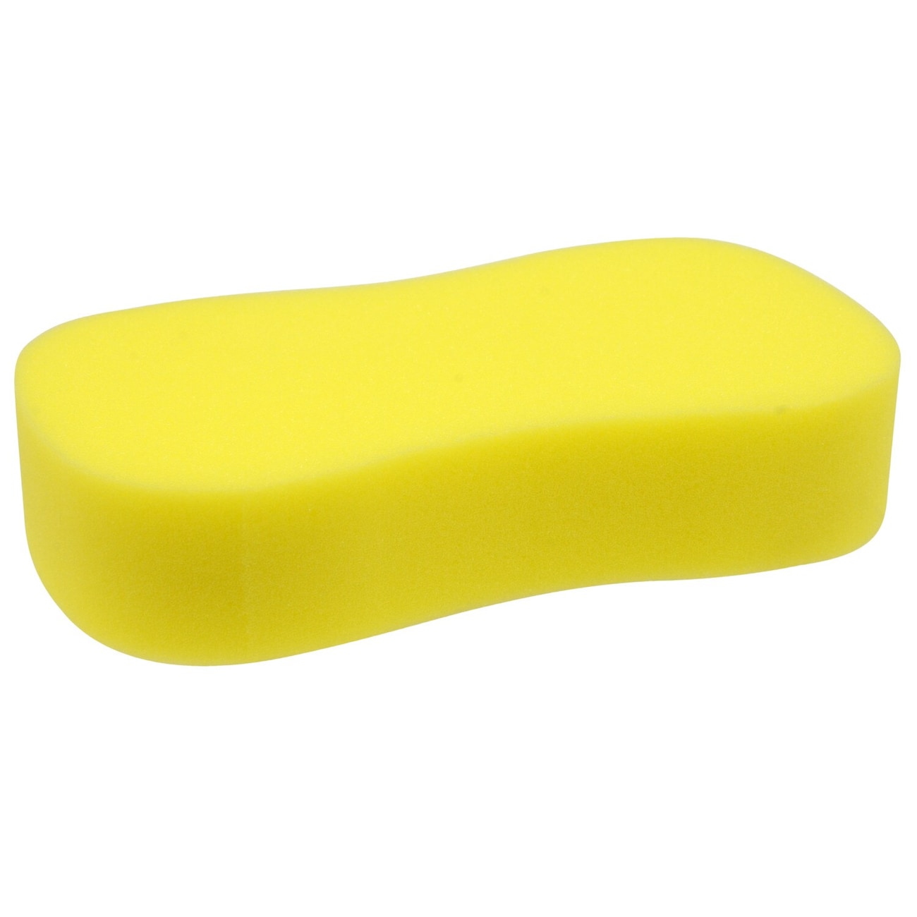 Wash Sponge