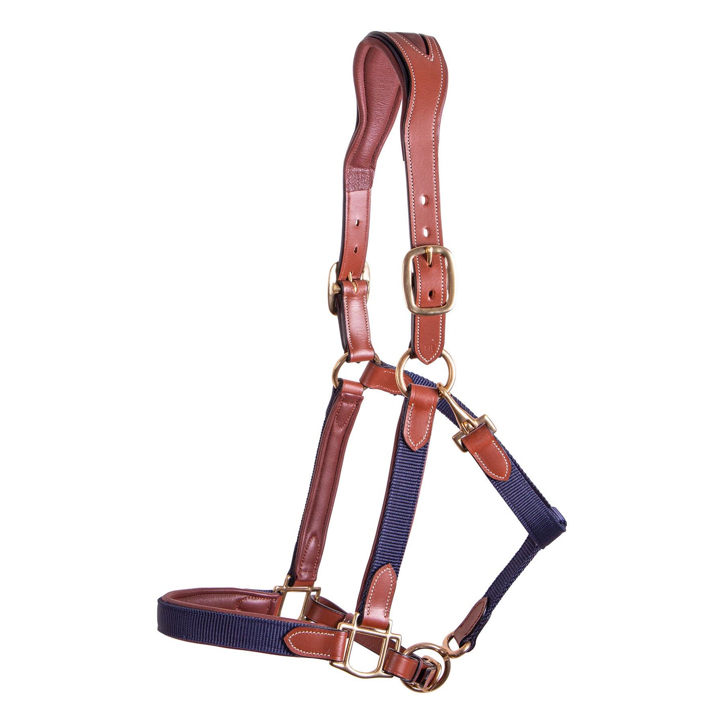 Billy Royal® Padded Leather and Nylon Halter (Cob)