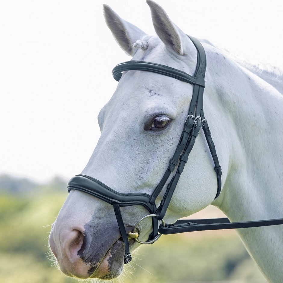 Velociti Ergonomic Flash Bridle - Black