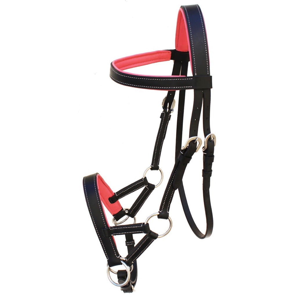 Professional Equine Sidepull Bridle with Colored Padding - Black/Pink