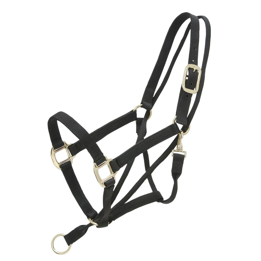 Tough1® Eagle Equine Pull Back Halter