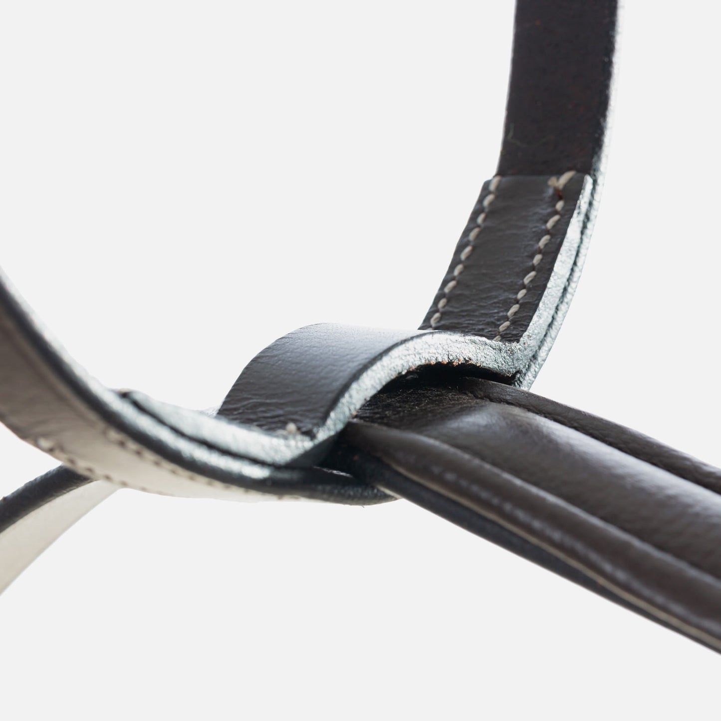 Equinavia Saga Running Martingale