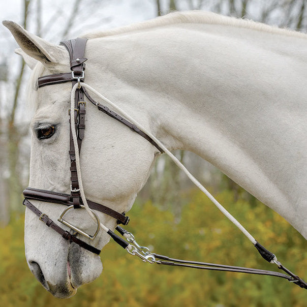 Avignon De Gogue Training Aid - Brown