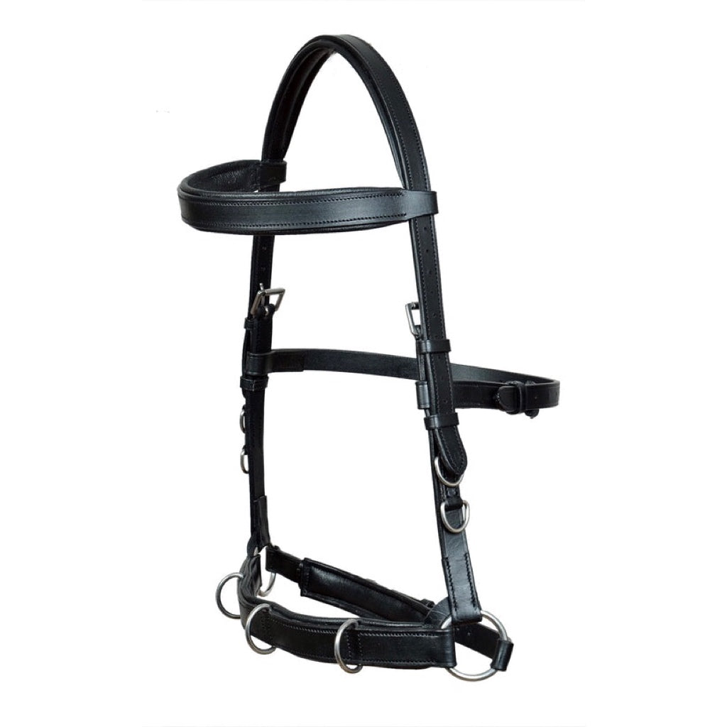 Professional Equine Bitless Lunging Cavesson