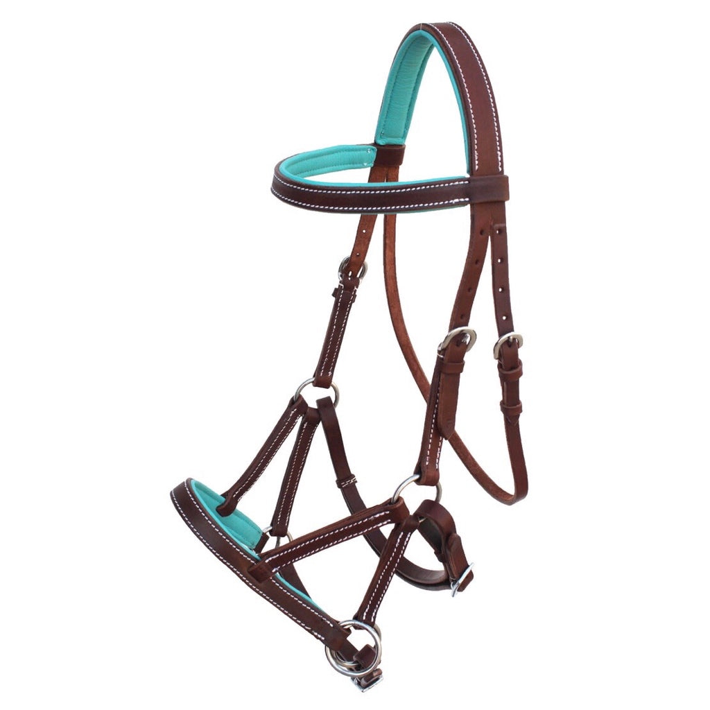 Professional Equine Sidepull Bridle with Colored Padding - Brown/Teal