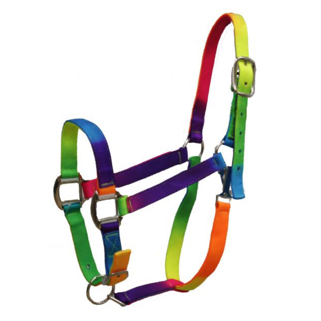 Showman® Rainbow Colored 3 Ply Nylon Halter with Adjustable Nose