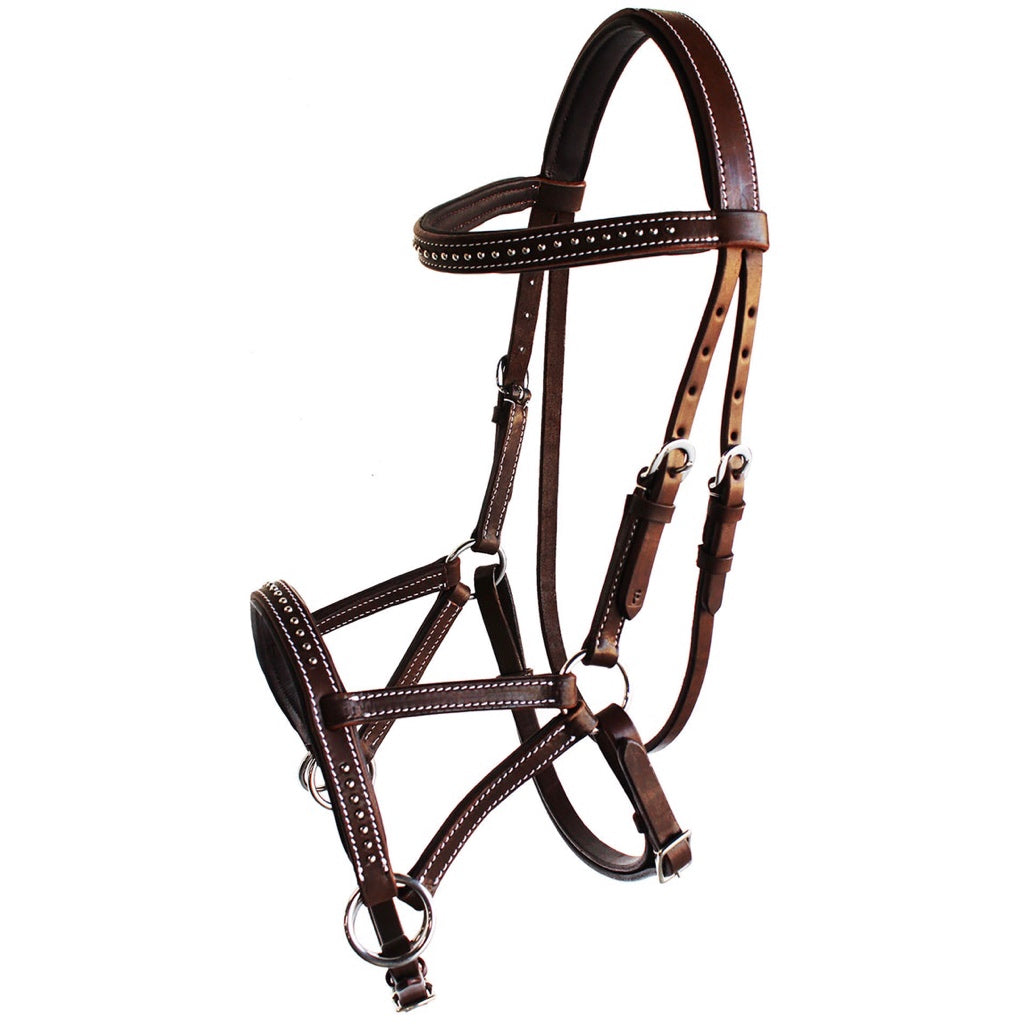 Professional Equine Studded Sidepull Bridle - Medium Brown