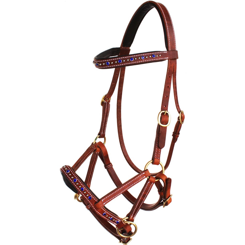 Professional Equine Rhinestone Studded Sidepull Bridle - Light Brown/Royal Blue