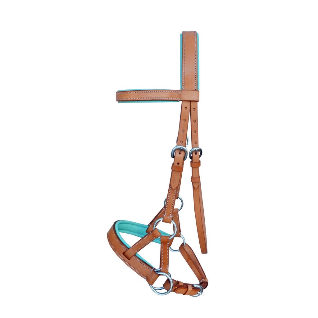 Professional Equine Sidepull Bridle with Colored Padding - Tan/Teal