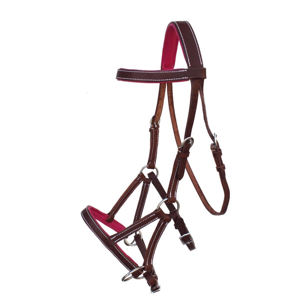 Professional Equine Sidepull Bridle with Colored Padding - Brown/Pink