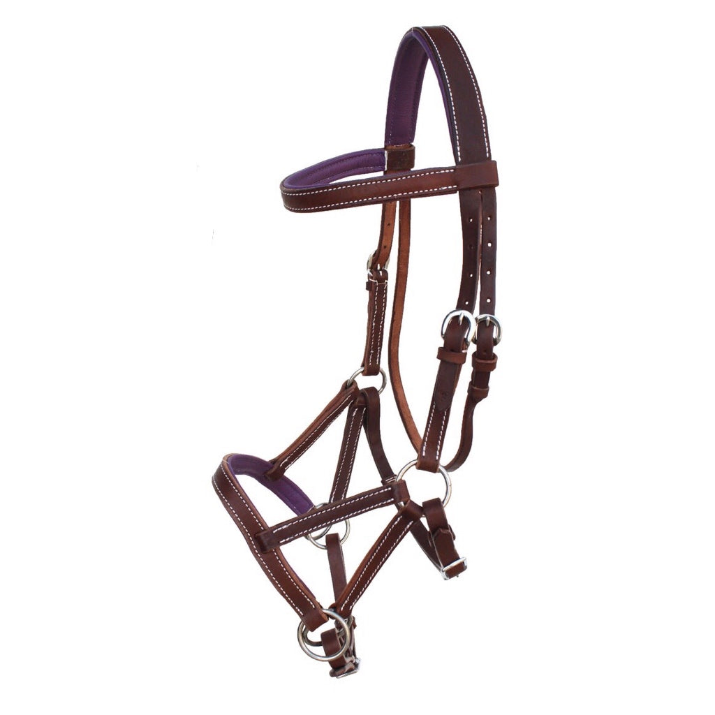Professional Equine Sidepull Bridle with Colored Padding - Brown/Purple