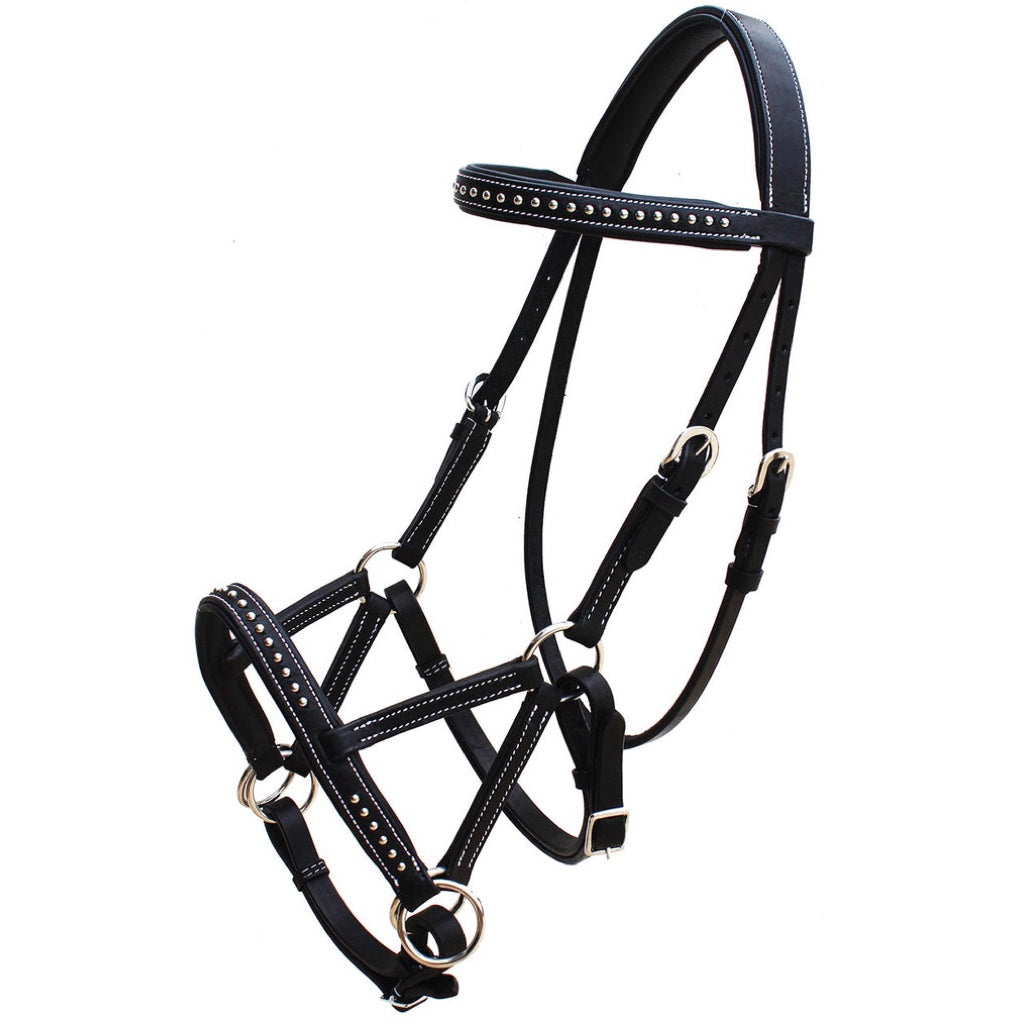 Professional Equine Studded Sidepull Bridle - Black