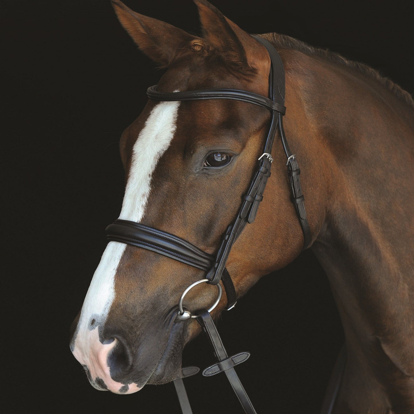 Collegiate Monocrown Padded Raised Bridle