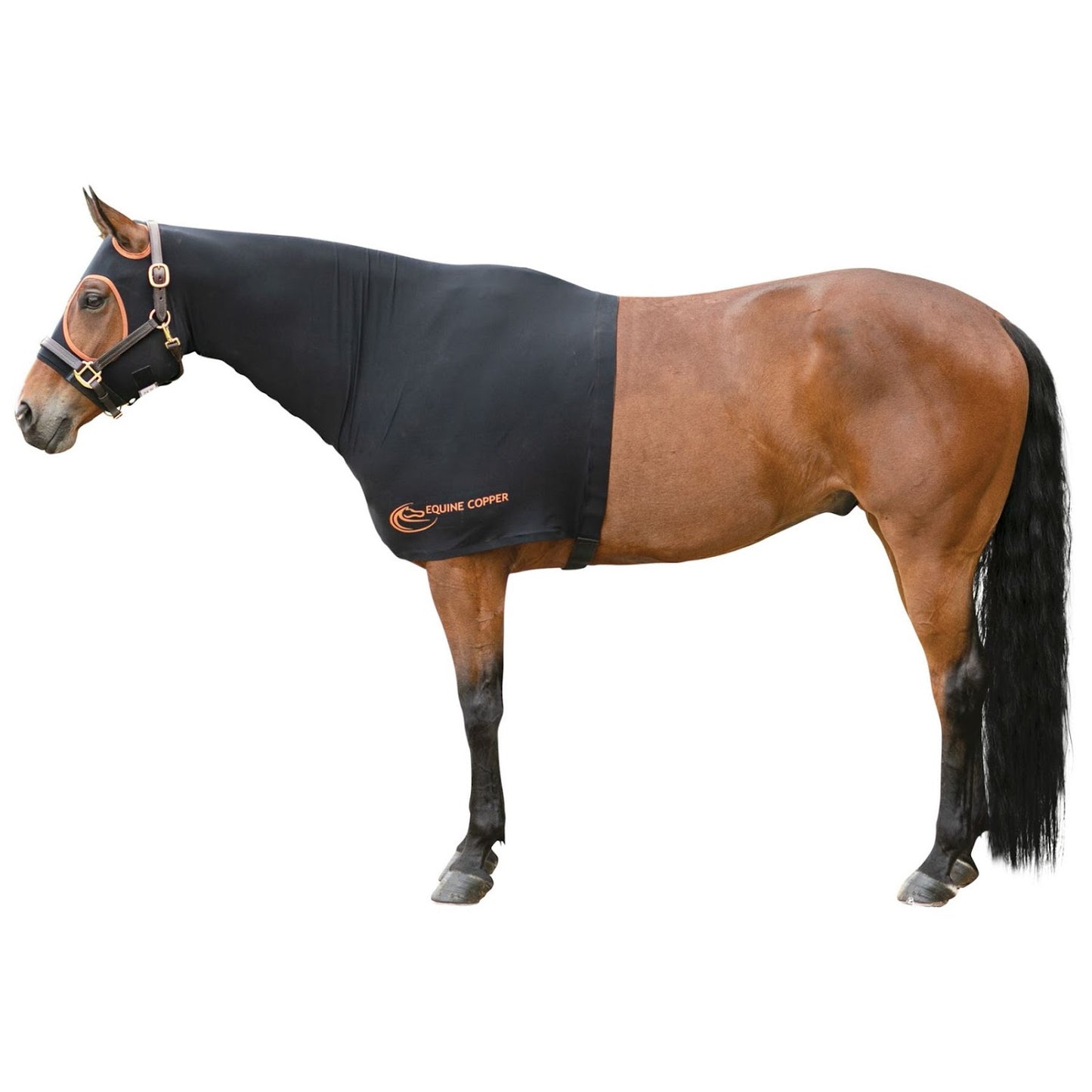Equine Copper Infused Lycra Sleazy