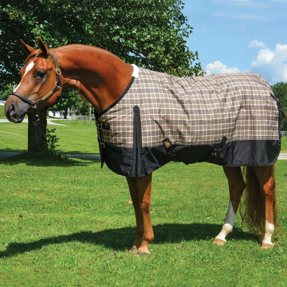 5/A Baker® Black Label Heavy Weight Turnout Blanket