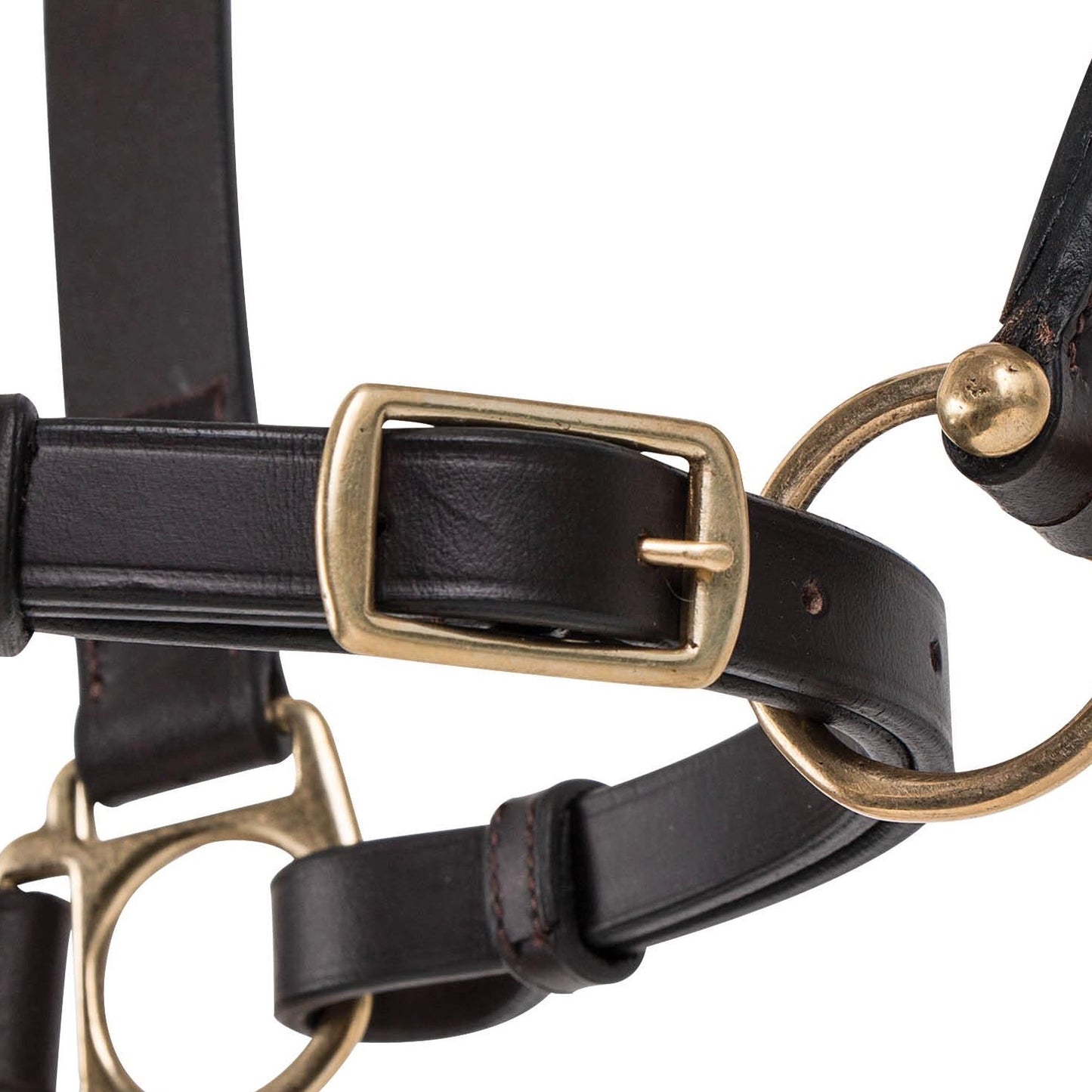 Premier Lancaster Leather Halter