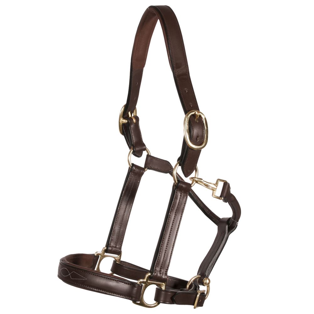 Joseph Sterling® Dorchester Padded Leather Halter