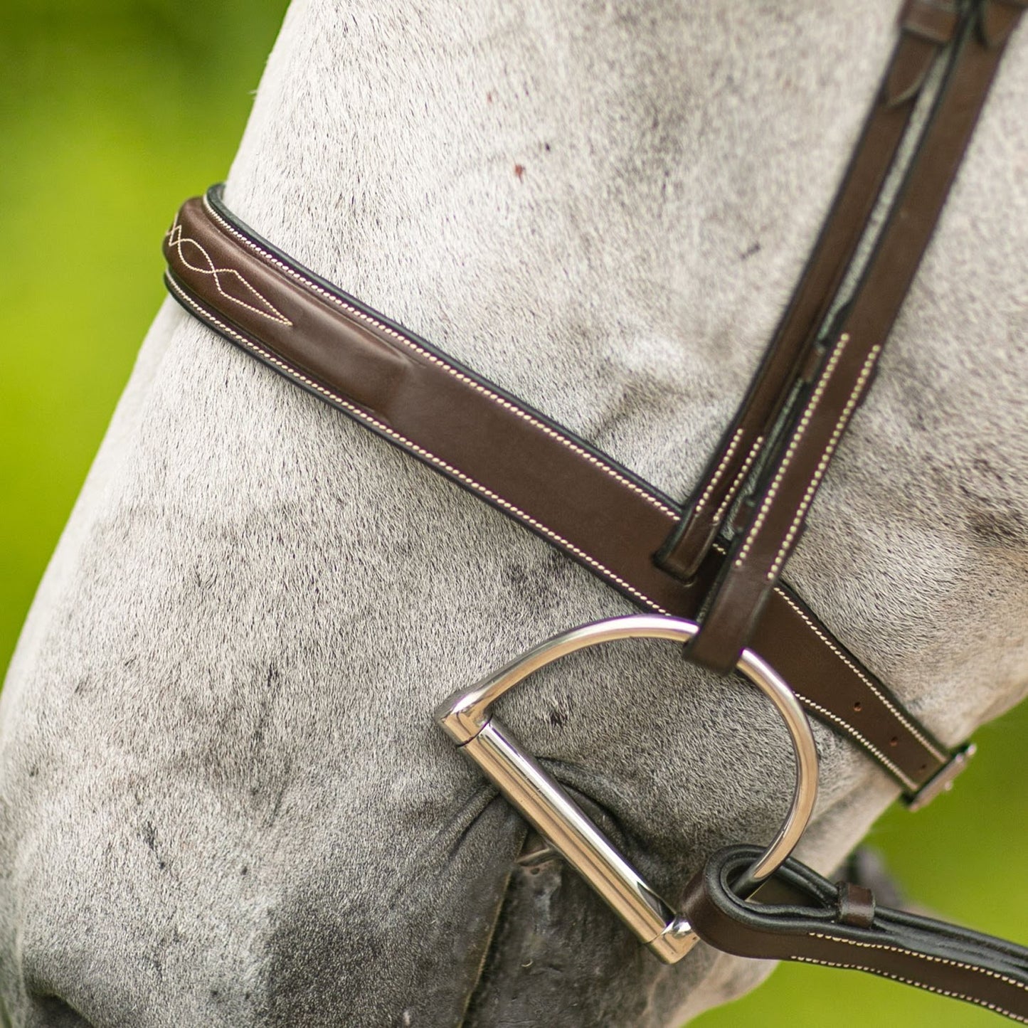 Joseph Sterling® Hartford Hunter Bridle