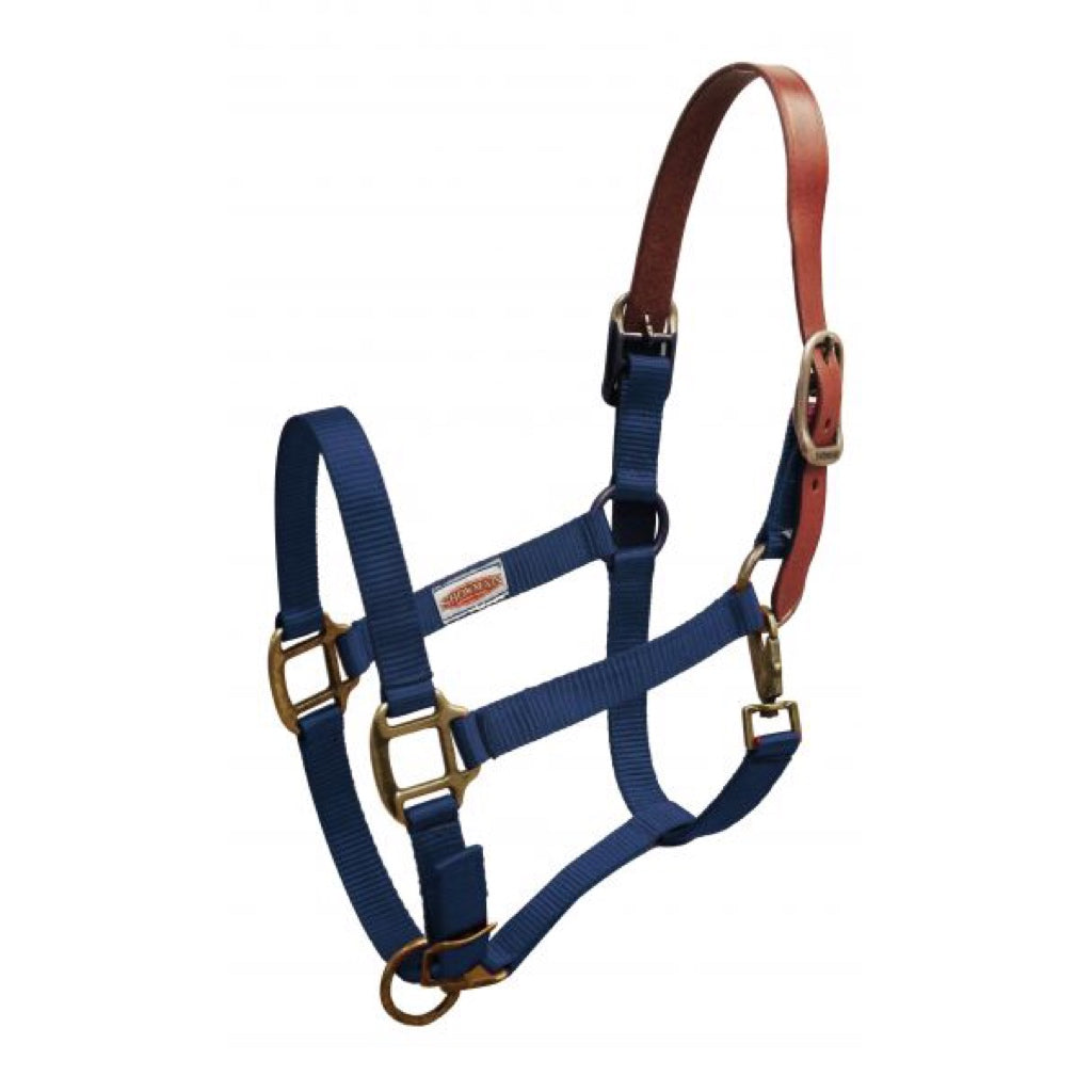 Showman® Premium Nylon Breakaway Halter