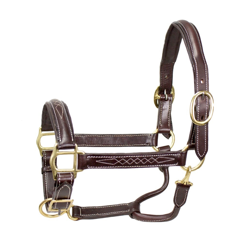 American Elite Fancy Stitch Padded Adjustable Halter {American Leather}