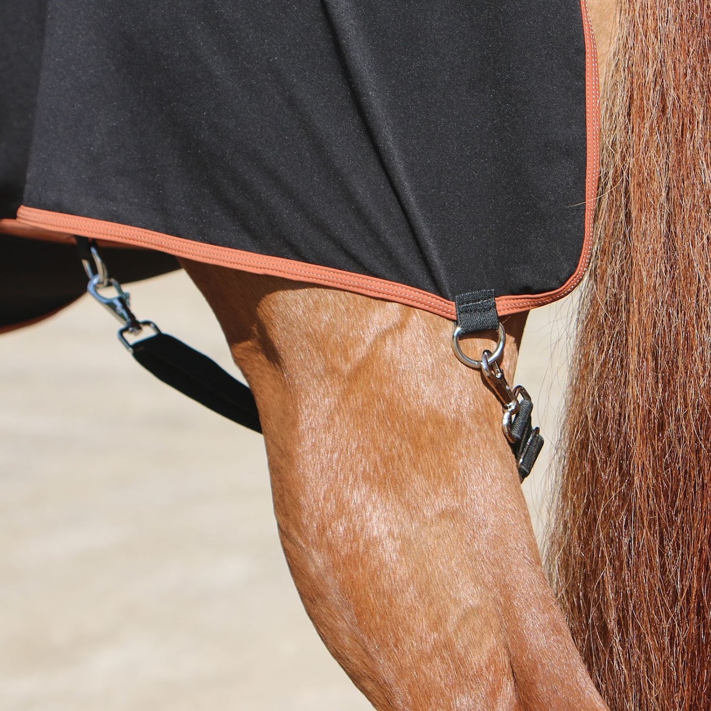 Equine Copper Infused Full Body Lycra Sleazy