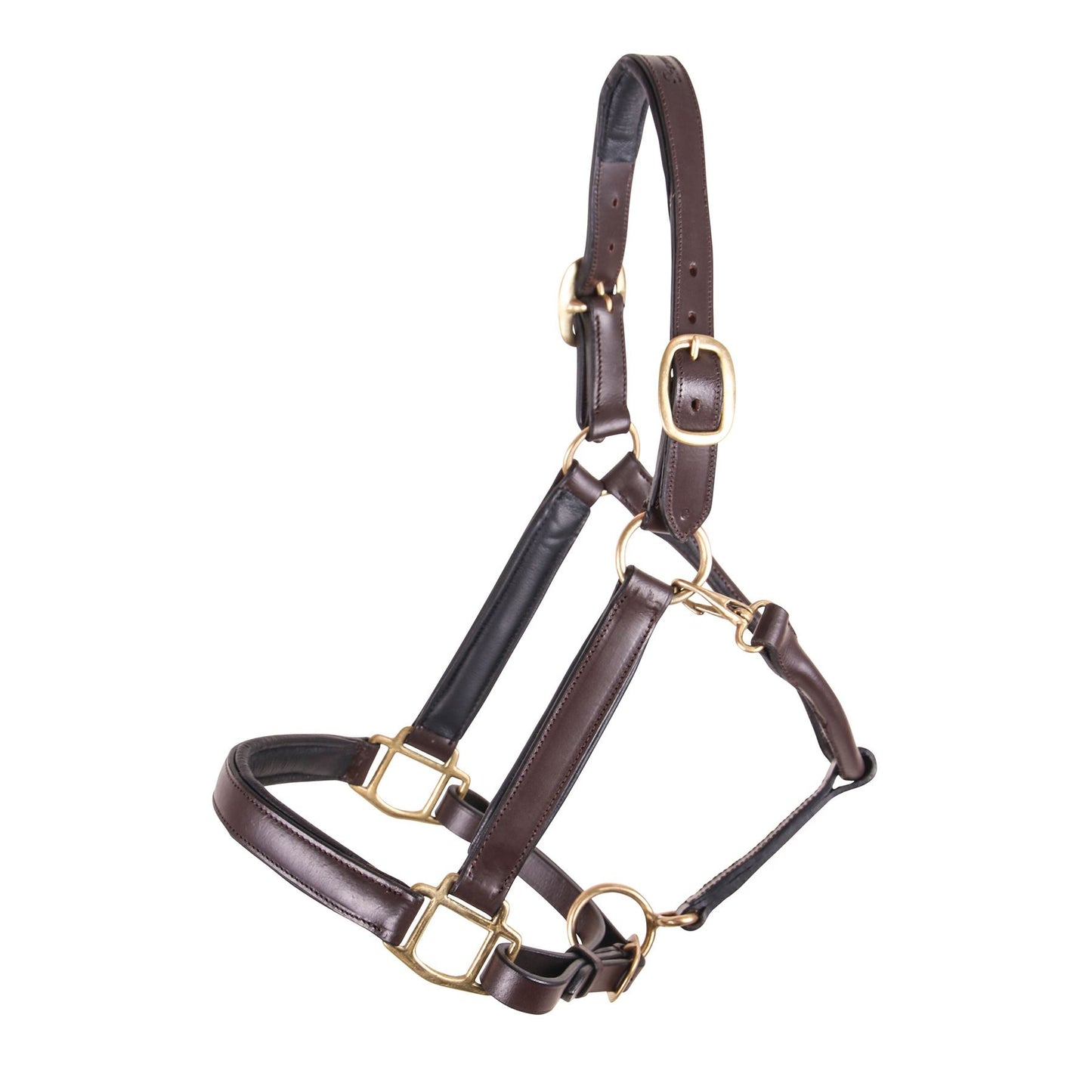 Premier Saratoga Padded Leather Halter