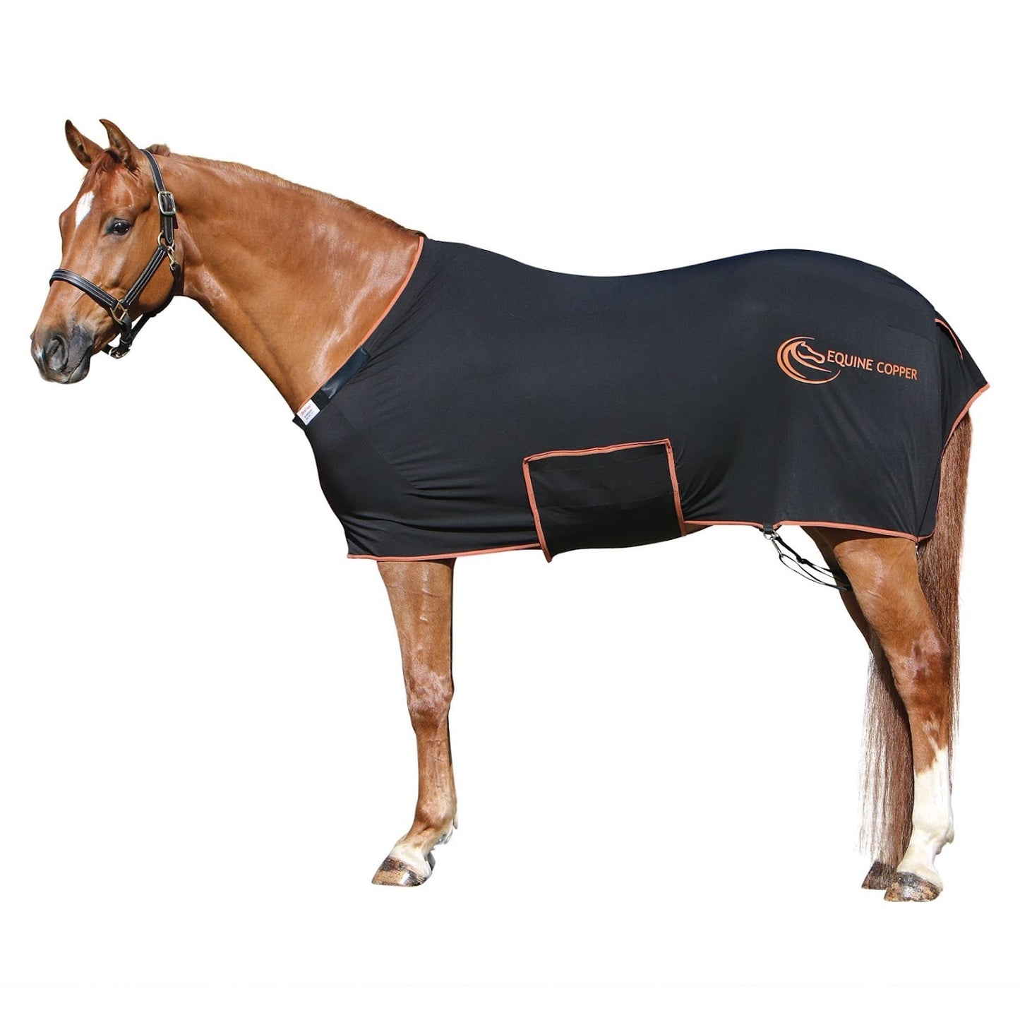Equine Copper Infused Lycra Sleazy Sheet