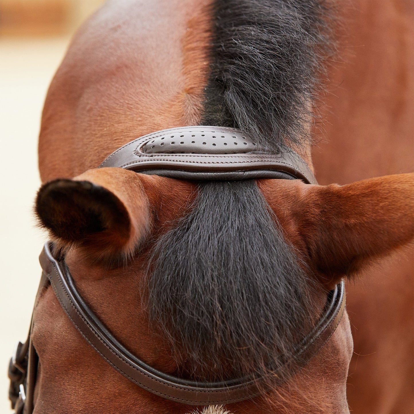 Collegiate ComFITec Training Bridle - Brown