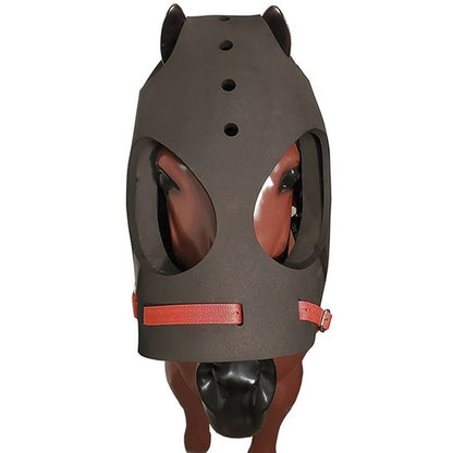 Equivizor™ Transport & Ophthalmology Vizor