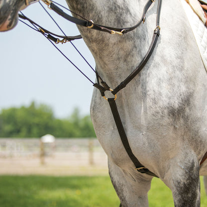 Billy Royal® German Martingale