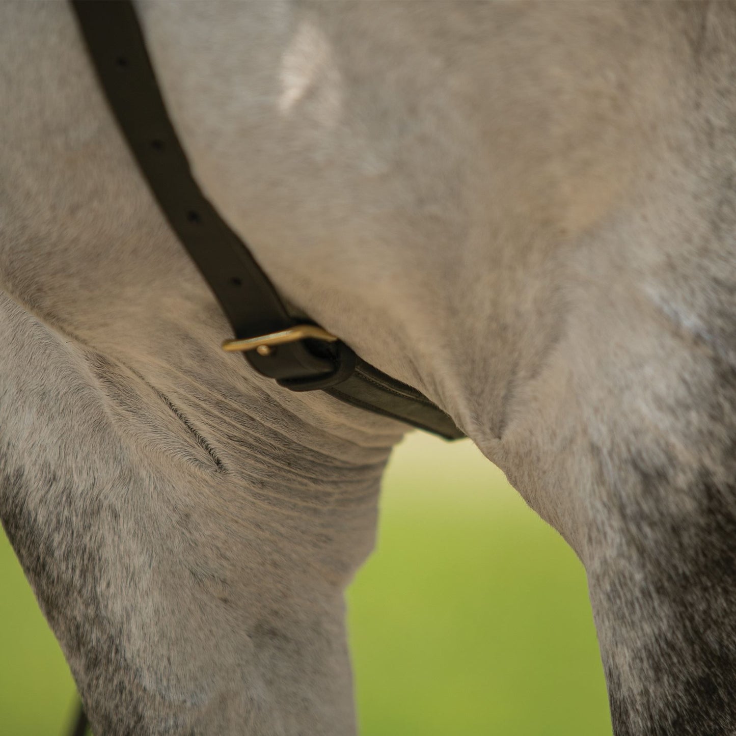 Billy Royal® German Martingale