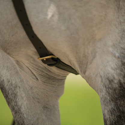 Billy Royal® German Martingale