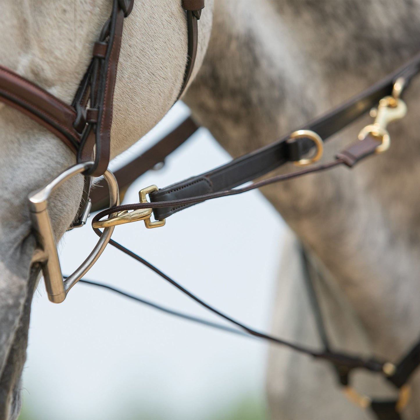 Billy Royal® German Martingale