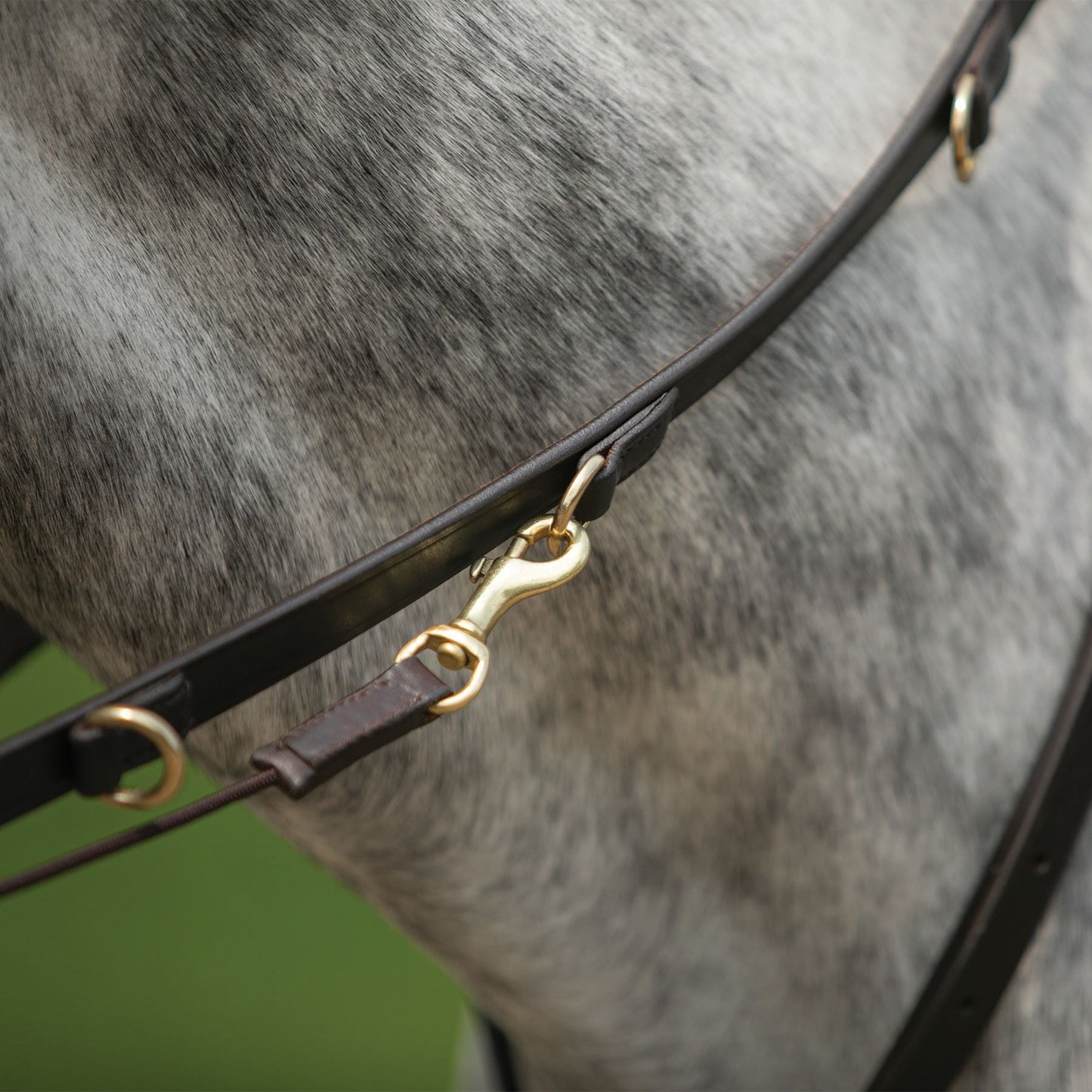 Billy Royal® German Martingale