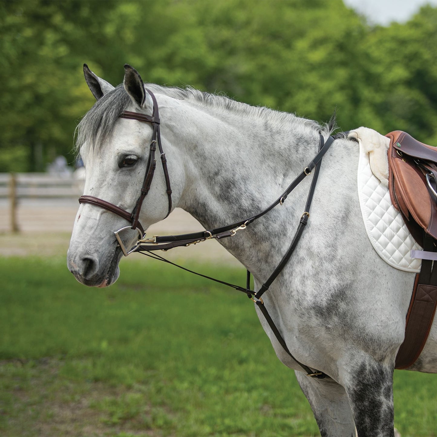 Billy Royal® German Martingale