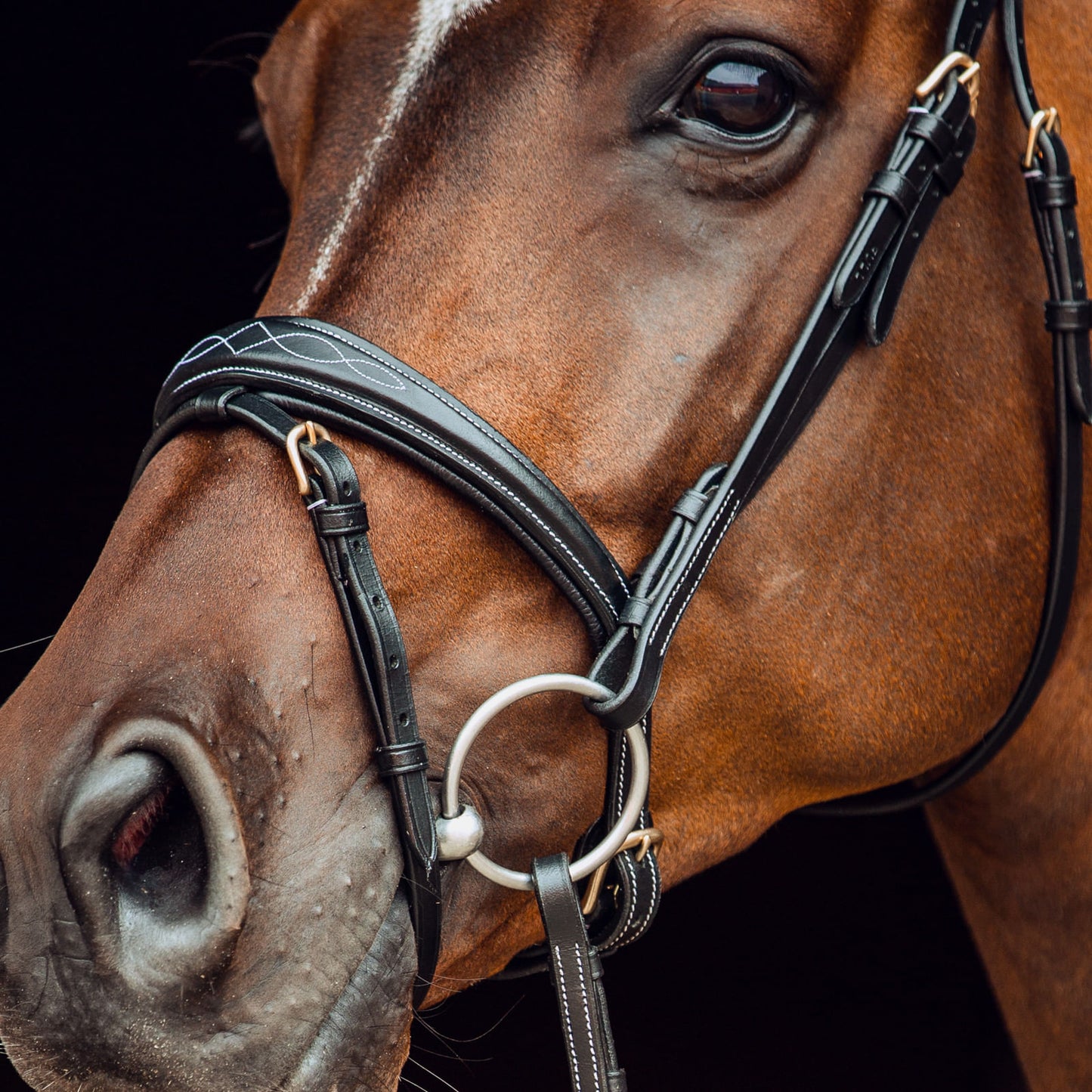 Horze Sion Bridle - Black