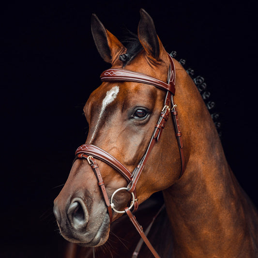Horze Sion Bridle - Brown
