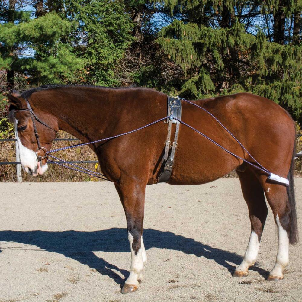 Horze Lunging Aid