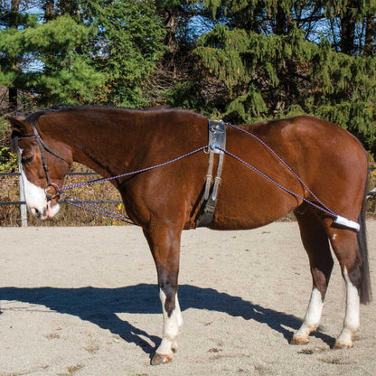 Horze Lunging Aid