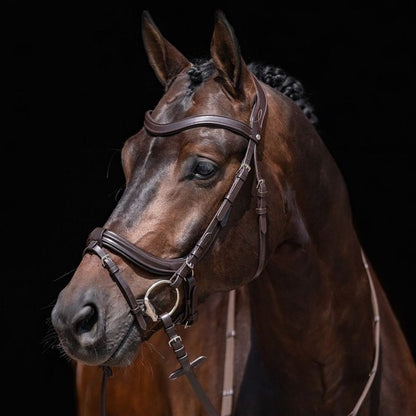 HKM Anatomic Bridle - Brown