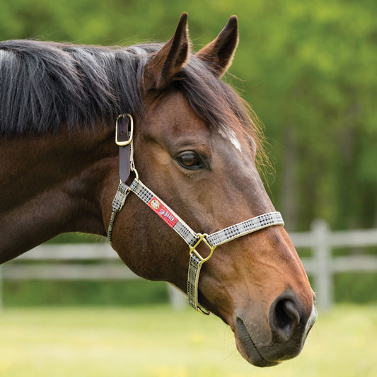 5/A Baker® Breakaway Halter