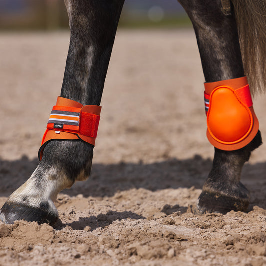 Horze Adepto Fetlock Boots - Coral Gold