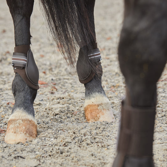 Horze Adepto Fetlock Boots - Dark Brown