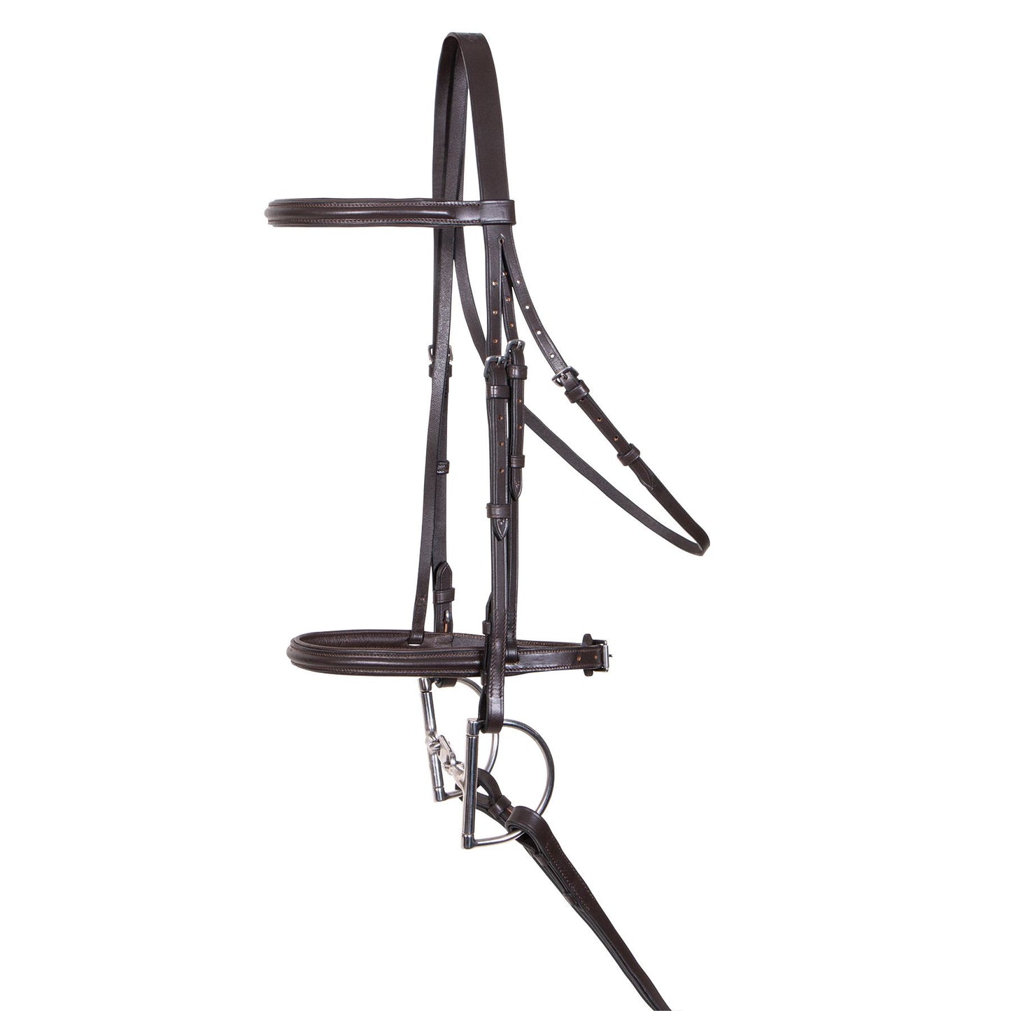 Premier Raised Padded Bridle