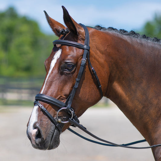 Premier Dressage Snaffle Bridle with Crank