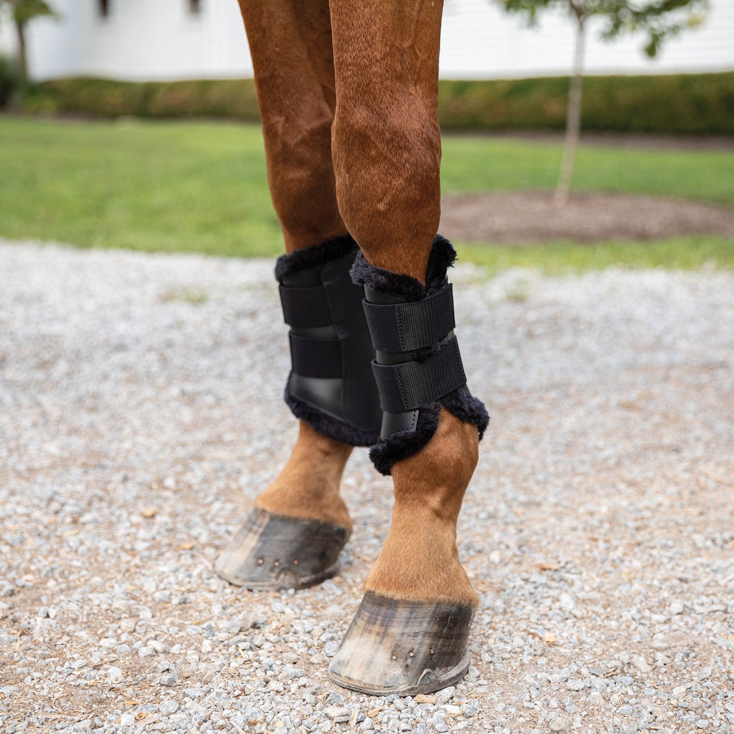 Lux® Ceramic Therapy Sport Boots