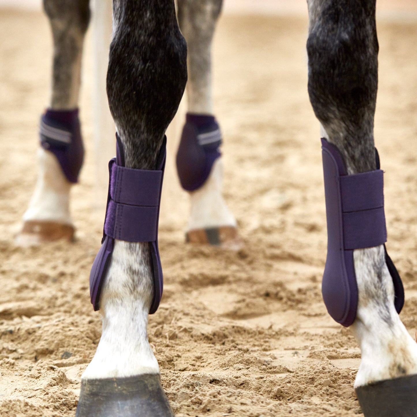 Horze Adepto Tendon Boots - Blackcurrant Purple